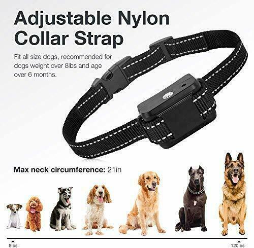 Rechargeable Dog Collar Anti Bark Pet Training Stop Barking Citronella Spray